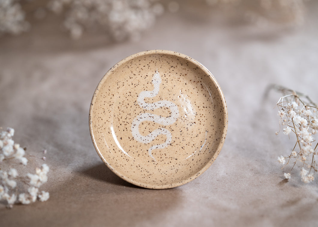 Snake Dish