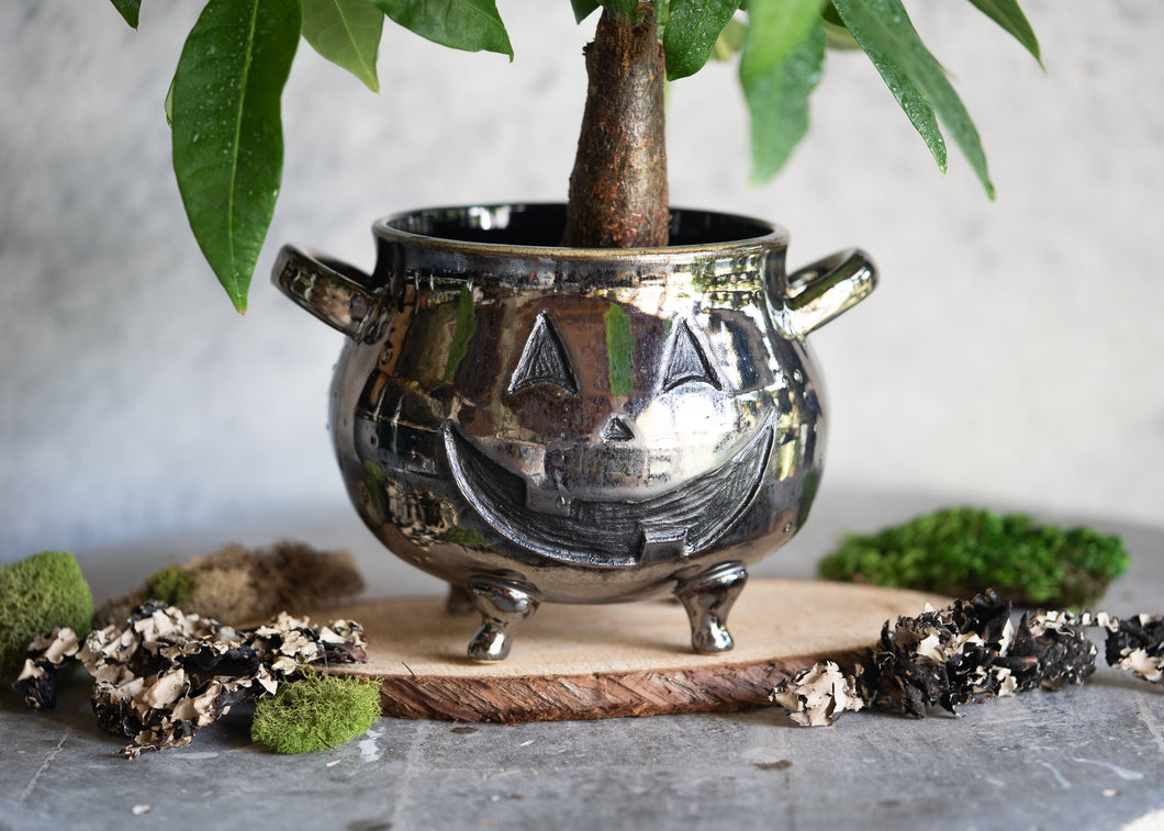 Cauldron Planter