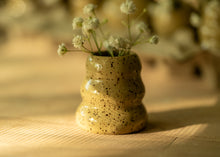 Load image into Gallery viewer, Speckled Bud Vases