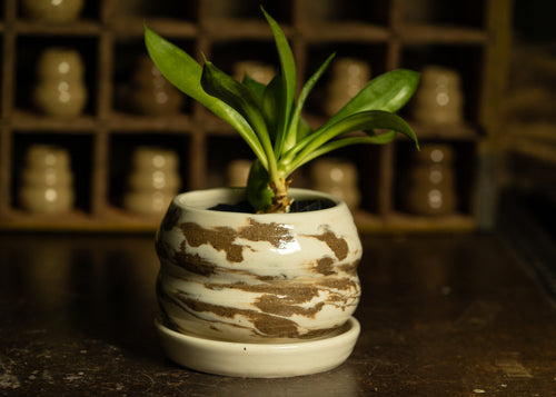 Marbled bubble planter