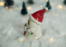 Load image into Gallery viewer, Fright light